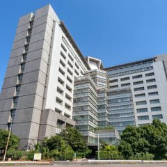 出入国在留管理庁（入管）とは？役割・仕事内容をわかりやすく解説