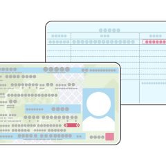 在留カードとは？偽造カードとの見分け方や在留資格の確認方法を解説