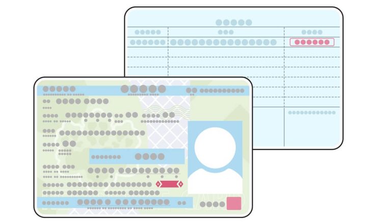 在留カードとは？偽造カードとの見分け方や在留資格の確認方法を解説