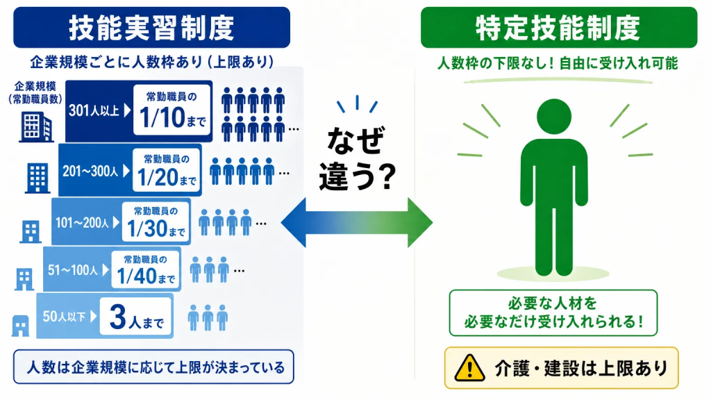 1人から受け入れられる特定技能——企業規模を問わず人数制限がない理由を解説
