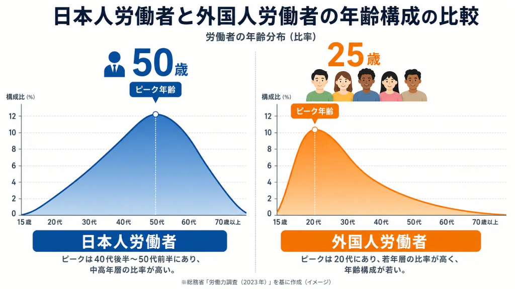 日本で働く外国人は20代前半が中心｜年齢層ごとの傾向まとめ
