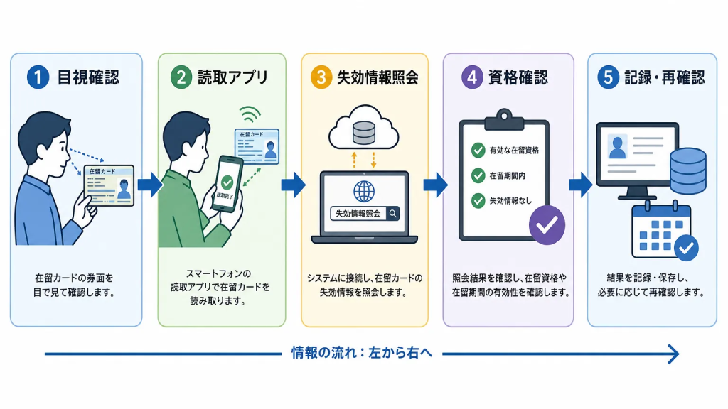 在留カードの確認手順【ステップごとに解説】