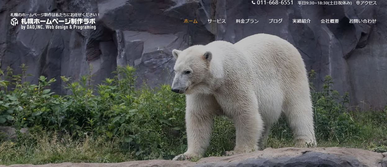 株式会社ディーエーオー